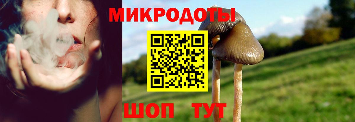 Псилоцибиновые грибы ЛСД Электросталь
